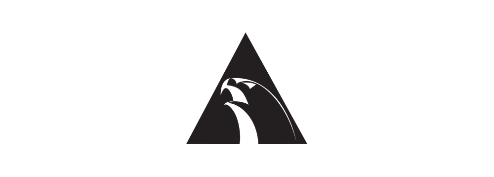 Alliance Jiu-Jitsu
